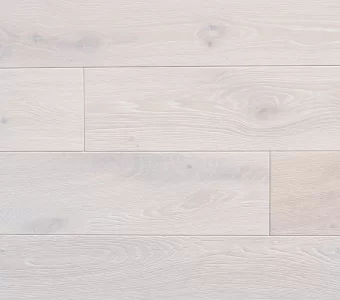 Polskie Dęby - Dąb Bielony