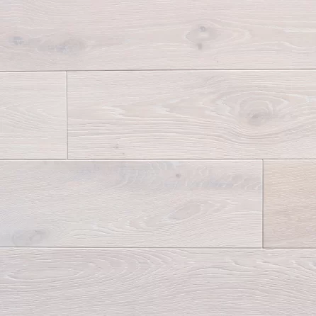 Polskie Dęby - Dąb Bielony