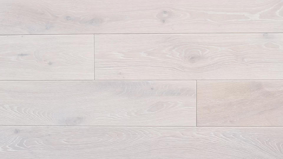 Polskie Dęby - Dąb Bielony