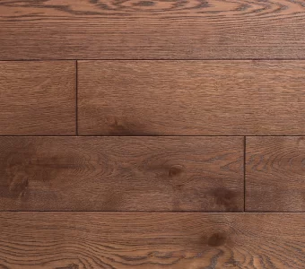 Polskie Dęby - Dąb Brunatny