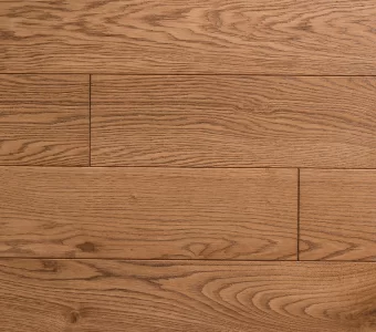 Polskie Dęby - Dąb Bursztynowy