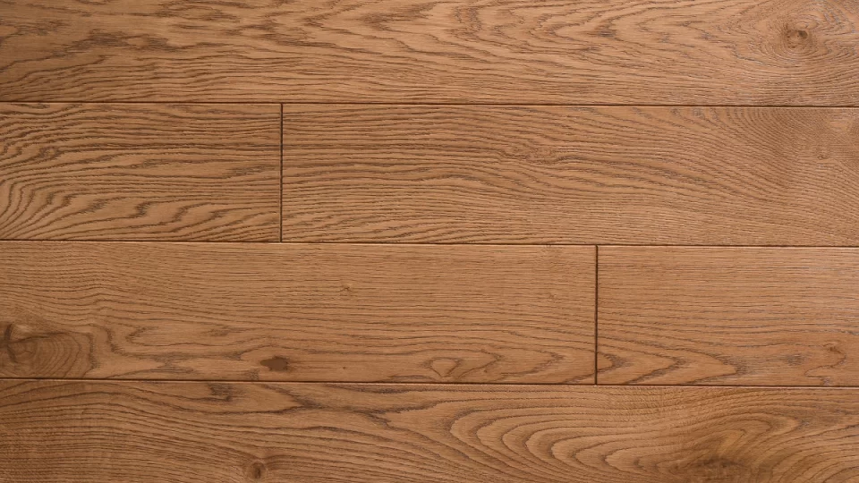 Polskie Dęby - Dąb Bursztynowy