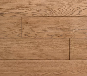 Polskie Dęby - Dąb Cynamonowy