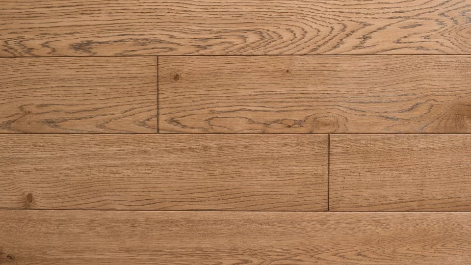 Polskie Dęby - Dąb Cynamonowy