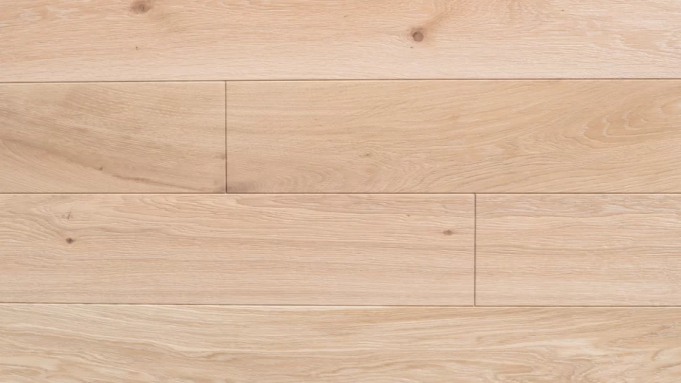 Polskie Dęby - Dąb Leśny