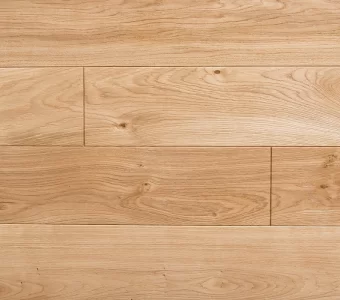 Polskie Dęby - Dąb Miodowy