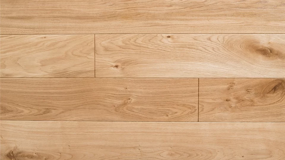 Polskie Dęby - Dąb Miodowy