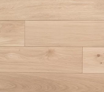 Polskie Dęby - Dąb Polny