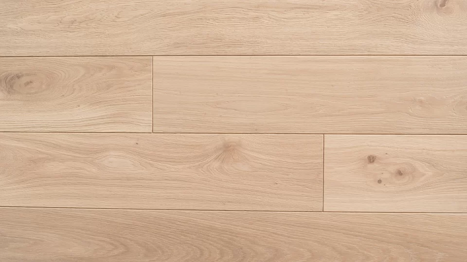 Polskie Dęby - Dąb Polny