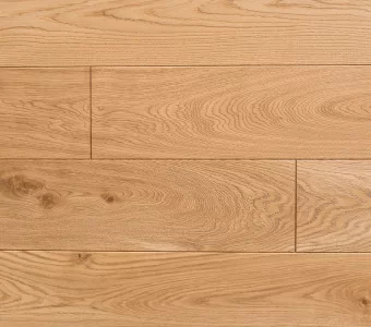 Polskie Dęby - Dąb Pospolity