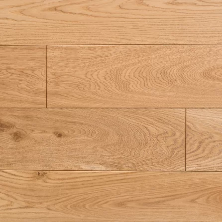 Polskie Dęby - Dąb Pospolity