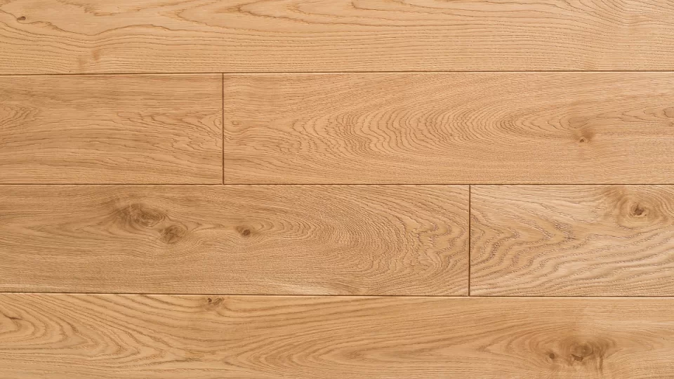 Polskie Dęby - Dąb Pospolity