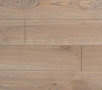 Polskie Dęby - Dąb Siny