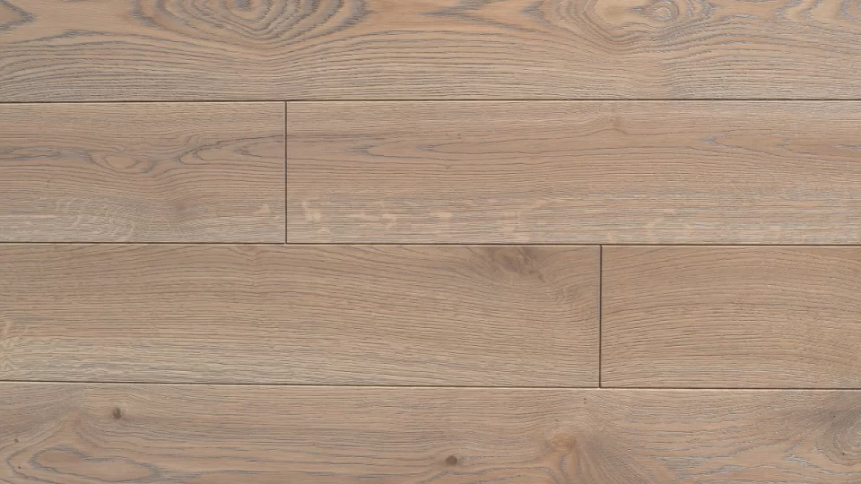 Polskie Dęby - Dąb Siny