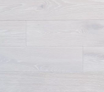 Polskie Dęby - Dąb Śnieżny