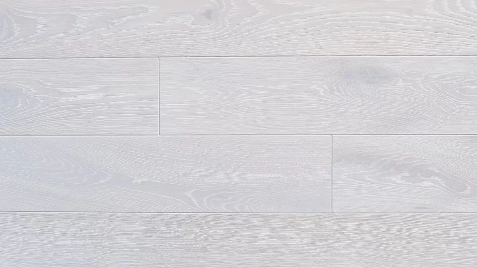 Polskie Dęby - Dąb Śnieżny