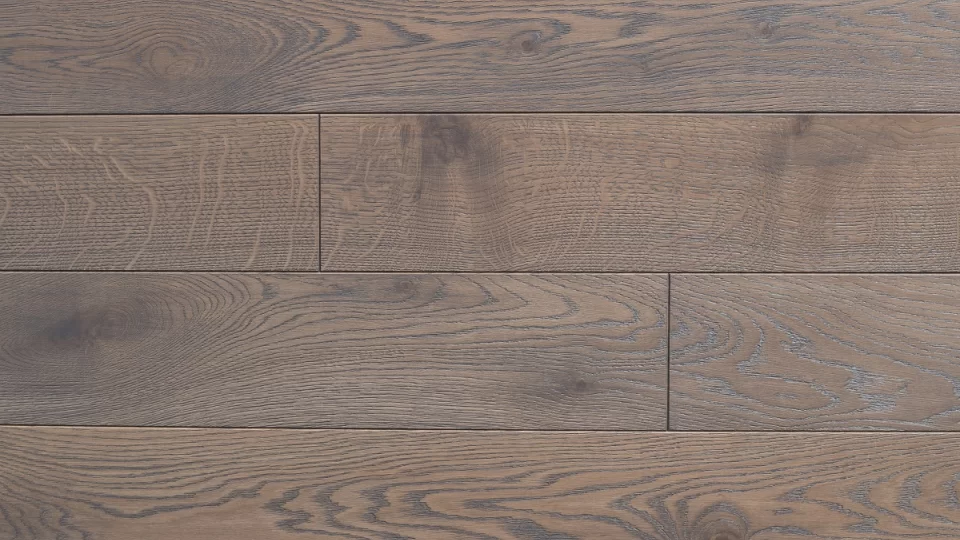 Polskie Dęby - Dąb Szary