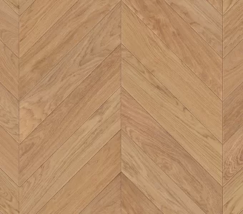 French Fir Oak Forest - Aged Collection