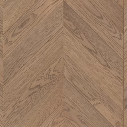 Jodła Francuska Dąb Piastowski - kolekcja Charakter