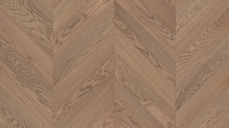 Jodła Francuska Dąb Piastowski - kolekcja Charakter