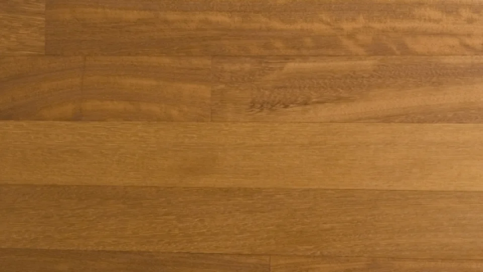 Iroko