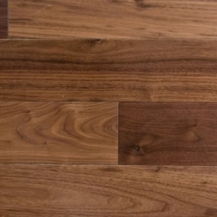 North American walnut