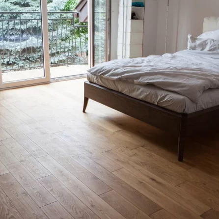 Dąb Bezbarwny Markant