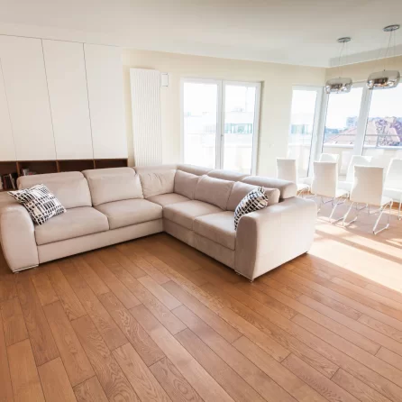 Walczak - Dąb Zamkowy