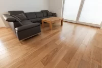 Polskie Dęby - Dąb Szlachecki