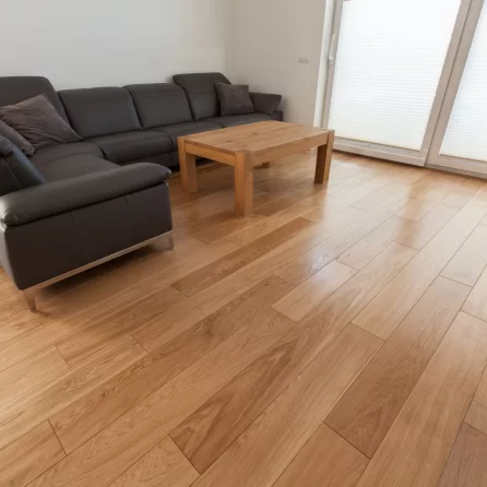 Polskie Dęby Dąb Szlachecki