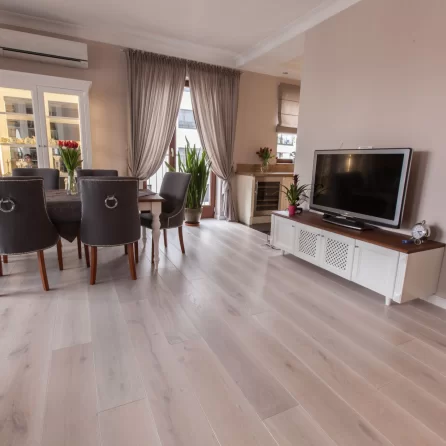 Polskie Dęby Dąb Bielony