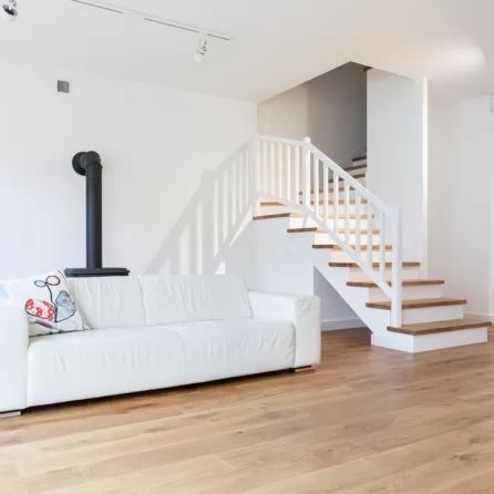 Polskie Dęby Dąb Pospolity Postarzany