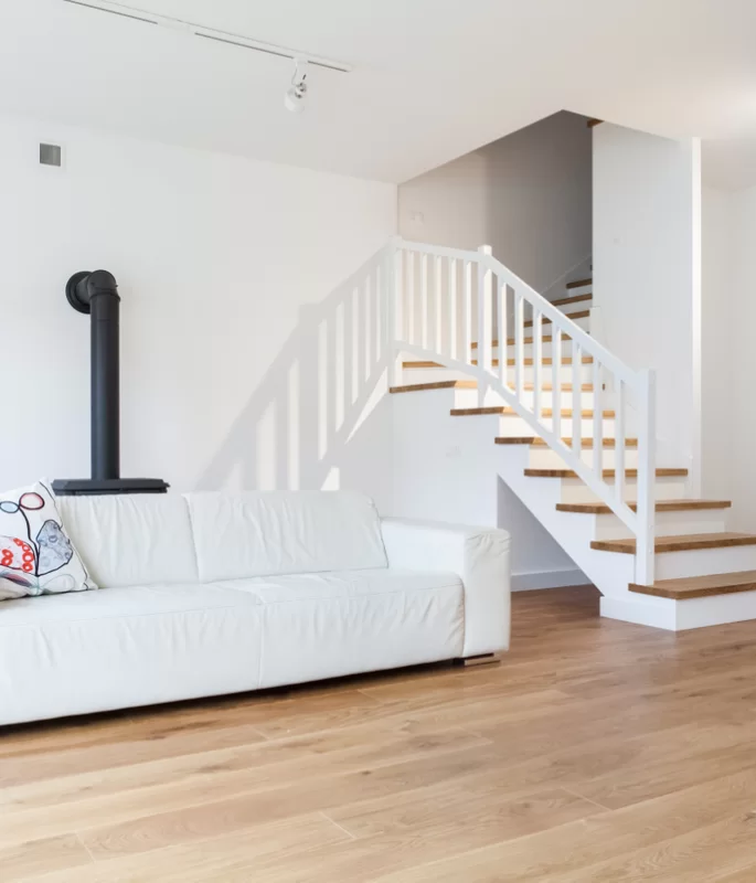 Polskie Dęby Dąb Pospolity Postarzany