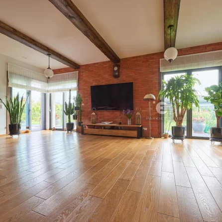 Color Floor Dąb Amber Natura 