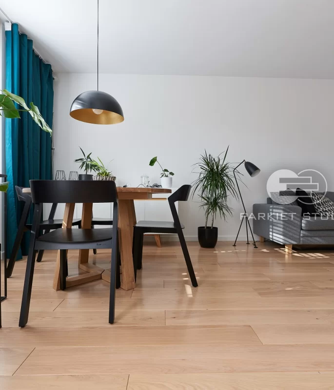 Polskie Dęby Dąb Polny