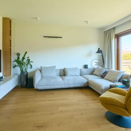 Polskie Dęby - Dąb Pospolity Standard