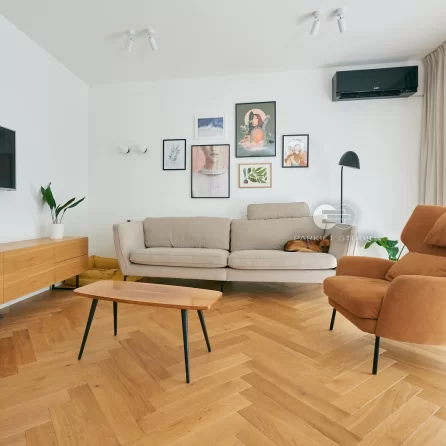 Color Floor Jodła Klasyczna Dąb Pure Standard