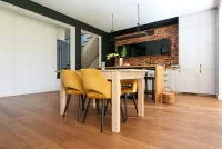 Polskie Dęby - Dąb Cynamonowy