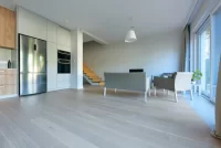 Polish Oaks - Quercus Robur