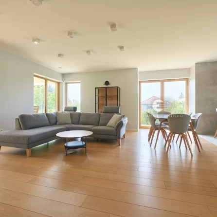 Polskie Dęby Dąb Piaskowy Prime 