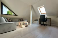 Polskie Dęby - Dąb Śnieżny