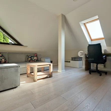 Polskie Dęby - Dąb Śnieżny Postarzany