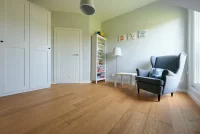 Polskie Dęby - Dąb Złocisty