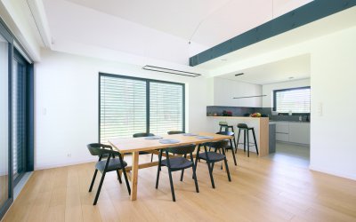 Polskie Dęby Dąb Piaskowy Prime