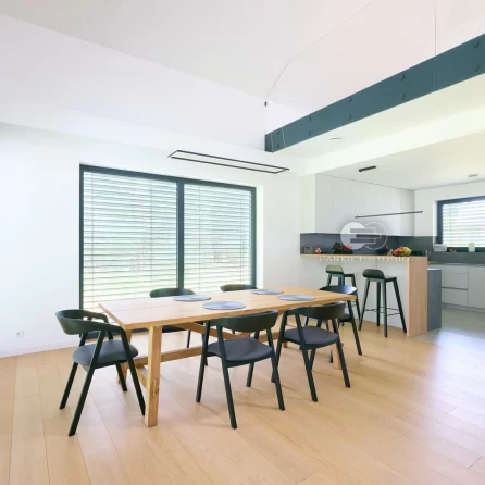 Polskie Dęby Dąb Piaskowy Prime