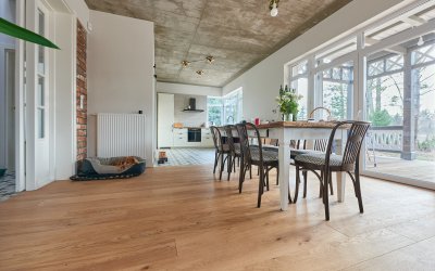 Wonder Floor Dąb Canton Standard XXL