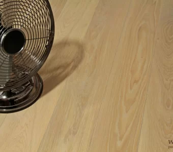 Walczak Dąb Kolor Biały Transparentny (Gładka)