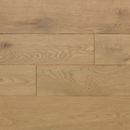 Polish Oaks - Jasper Oak