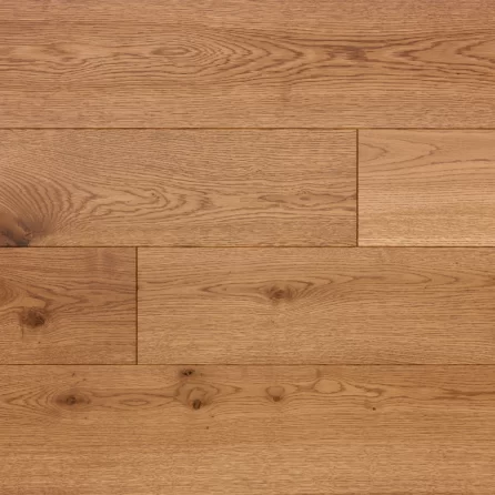 Polskie Dęby - Dąb Rubin