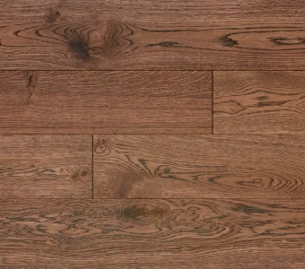 Polskie Dęby - Dąb Ametyst